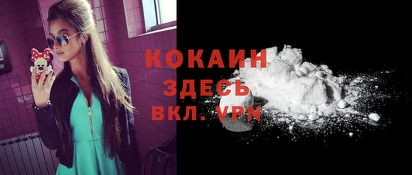 не бодяженный Алексин