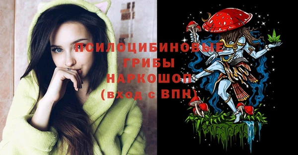 не бодяженный Алексин