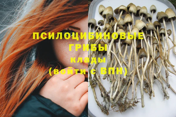 не бодяженный Алексин