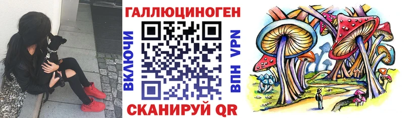 даркнет телеграм kraken онион Зверево Псилоцибиновые грибы MAGIC MUSHROOMS